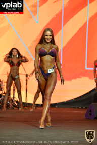 SN PRO EXPO - 2019