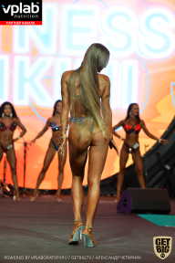 SN PRO EXPO - 2019