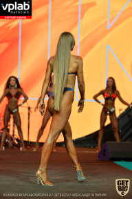 SN PRO EXPO - 2019