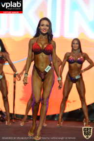 SN PRO EXPO - 2019