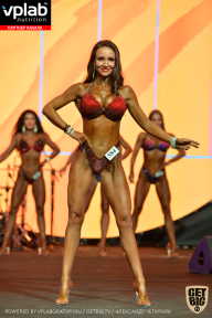 SN PRO EXPO - 2019