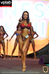 SN PRO EXPO - 2019