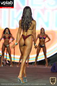 SN PRO EXPO - 2019
