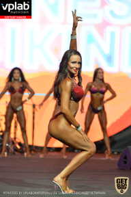 SN PRO EXPO - 2019