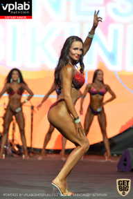 SN PRO EXPO - 2019