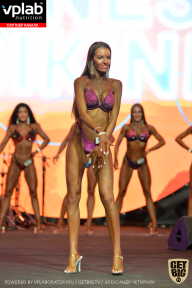 SN PRO EXPO - 2019