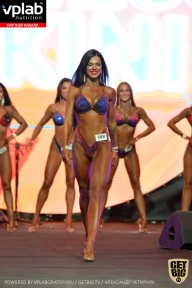 SN PRO EXPO - 2019
