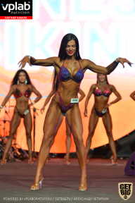 SN PRO EXPO - 2019