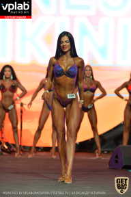 SN PRO EXPO - 2019