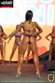 SN PRO EXPO - 2019