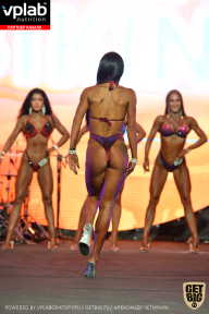 SN PRO EXPO - 2019