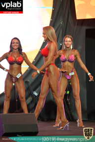 SN PRO EXPO - 2019