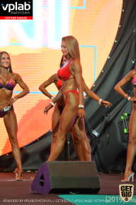 SN PRO EXPO - 2019