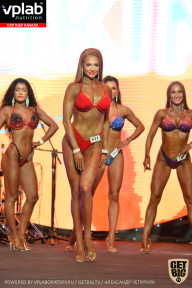 SN PRO EXPO - 2019