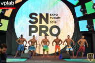 SN PRO EXPO - 2019