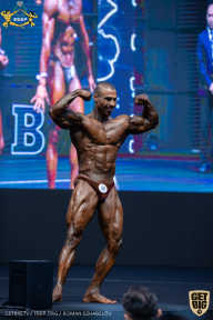 IFBB Чемпионат мира по бодибилдингу - 2019