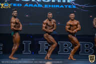 IFBB Чемпионат мира по бодибилдингу - 2019