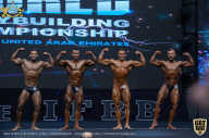 IFBB Чемпионат мира по бодибилдингу - 2019