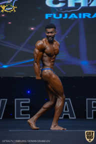 IFBB Чемпионат мира по бодибилдингу - 2019