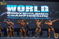 IFBB Чемпионат мира по бодибилдингу - 2019