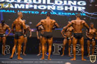 IFBB Чемпионат мира по бодибилдингу - 2019