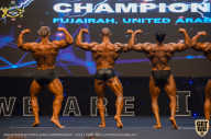 IFBB Чемпионат мира по бодибилдингу - 2019