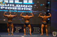 IFBB Чемпионат мира по бодибилдингу - 2019