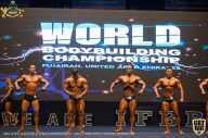 IFBB Чемпионат мира по бодибилдингу - 2019