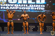 IFBB Чемпионат мира по бодибилдингу - 2019