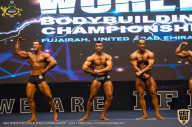 IFBB Чемпионат мира по бодибилдингу - 2019