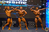 IFBB Чемпионат мира по бодибилдингу - 2019