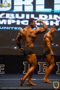 IFBB Чемпионат мира по бодибилдингу - 2019