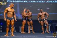 IFBB Чемпионат мира по бодибилдингу - 2019