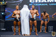 IFBB Чемпионат мира по бодибилдингу - 2019