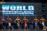 IFBB Чемпионат мира по бодибилдингу - 2019