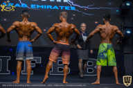 IFBB Чемпионат мира по бодибилдингу - 2019