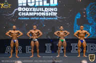 IFBB Чемпионат мира по бодибилдингу - 2019