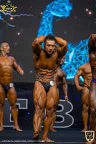 IFBB Чемпионат мира по бодибилдингу - 2019