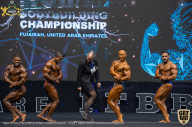 IFBB Чемпионат мира по бодибилдингу - 2019