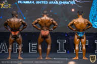 IFBB Чемпионат мира по бодибилдингу - 2019