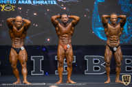 IFBB Чемпионат мира по бодибилдингу - 2019