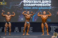 IFBB Чемпионат мира по бодибилдингу - 2019