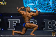 IFBB Чемпионат мира по бодибилдингу - 2019