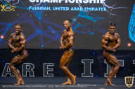 IFBB Чемпионат мира по бодибилдингу - 2019