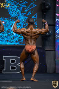 IFBB Чемпионат мира по бодибилдингу - 2019