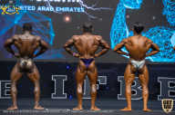 IFBB Чемпионат мира по бодибилдингу - 2019