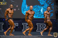 IFBB Чемпионат мира по бодибилдингу - 2019