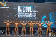 IFBB Чемпионат мира по бодибилдингу - 2019