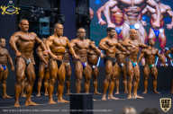 IFBB Чемпионат мира по бодибилдингу - 2019