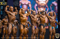 IFBB Чемпионат мира по бодибилдингу - 2019